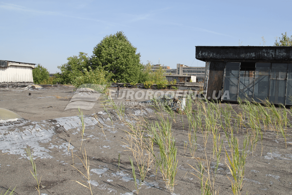 Устройство мембранной кровли Электрон