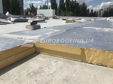Complex of roofing works Metcom Corporation office building