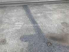 Complex of roofing works PROTASOV